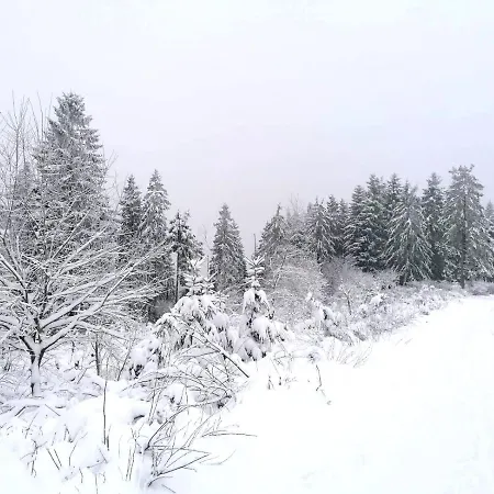 Oda ve Kahvaltı Haus Berchstein Winterberg