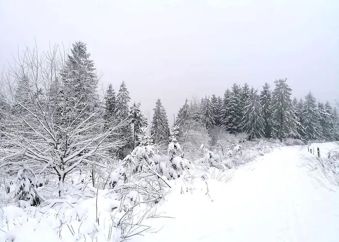 Alojamento de Acomodação e Pequeno-almoço Haus Berchstein Winterberg