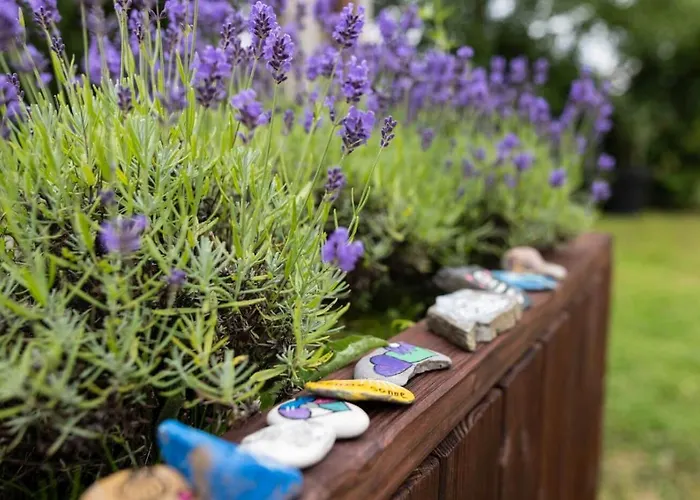 Haus Berchstein 3* Winterberg